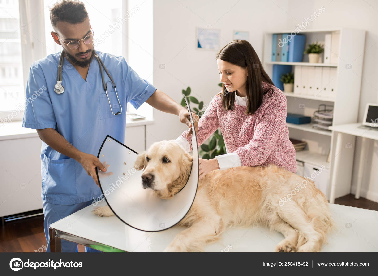 Young Owner Golden Retriever Helping Veterinarian Place Funnel Dog - Main Image
