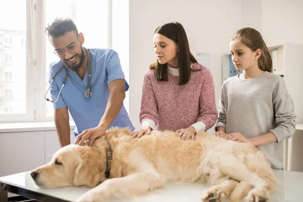 愉快的年轻的专业兽医 临时的妇女和她的女儿爱抚拉布拉多狗在医疗台上 — 图库照片
