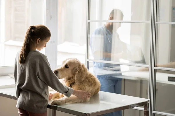 Chien Triste Sur Table Médicale Petite Fille Tenue Décontractée Regardant — Photo