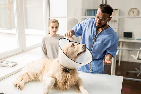 テーブルの上に横たわると 若いプロの獣医師を見ての首に漏斗と病気の犬 — ストック写真