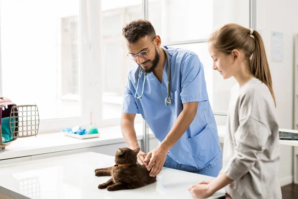 近くの彼女の所有者を調べる前にテーブルの上の青い制服抱きしめる猫の若い獣医師 — ストック写真