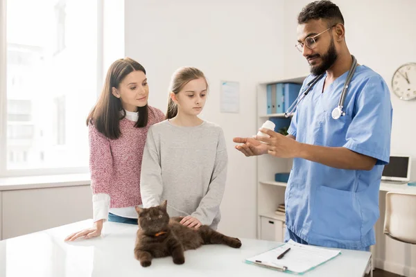 Médico Veterinário Jovem Mostrando Medicina Eficaz Para Gato Enquanto Consulta — Fotografia de Stock