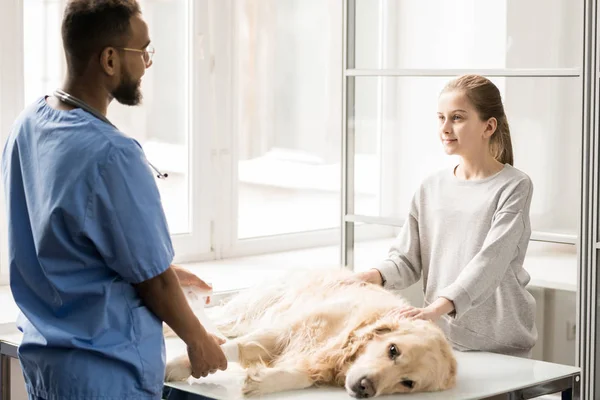 病気の犬と病院のコンサルティングの小さな女の子に包帯を入れ制服を着た若い獣医臨床医 — ストック写真