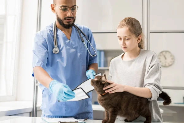 Jovem Médico Veterinário Profissional Colocando Funil Pescoço Gato Antes Examinar — Fotografia de Stock