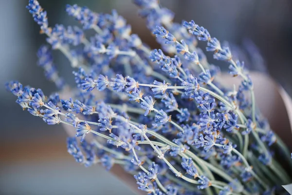 Száraz Levendula Virágcsokor Készült Vékony Ágak Borított Apró Virág Csoport — Stock Fotó
