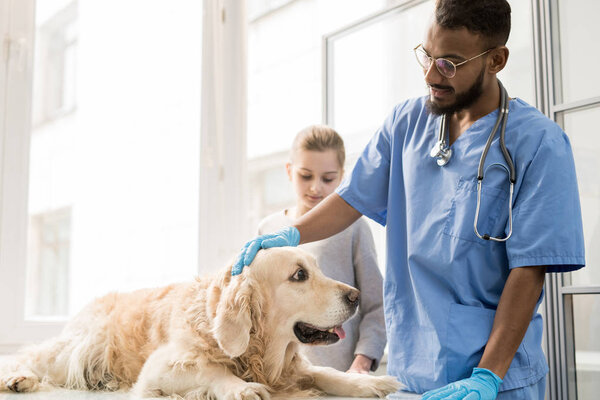 Young veterinarian in uniform standing by sick dog on table and cuddling it before medical examination