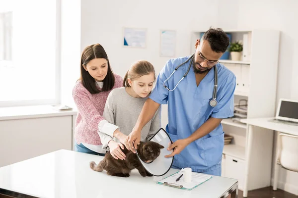 Jovem Médico Veterinário Uniforme Colocando Funil Pescoço Gato Bwfore Fazendo — Fotografia de Stock