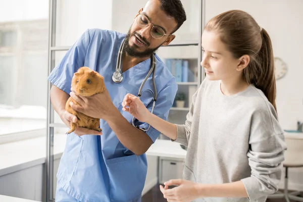 Jovem Médico Clínicas Veterinárias Explicando Menina Como Cuidar Saúde Cobaia — Fotografia de Stock