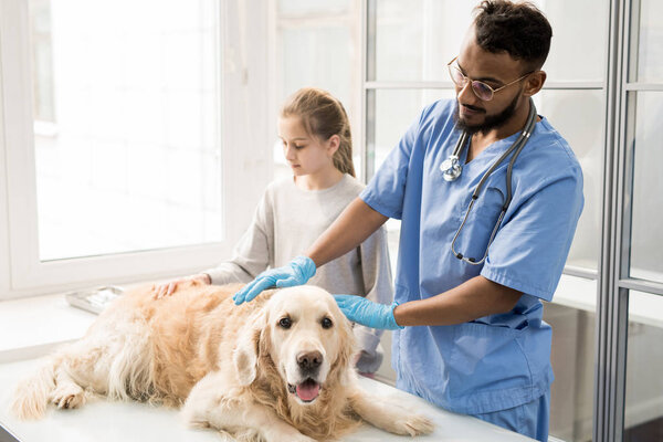 Young veterinary professional in gloves and uniform standing by table and petting one of fluffy patients