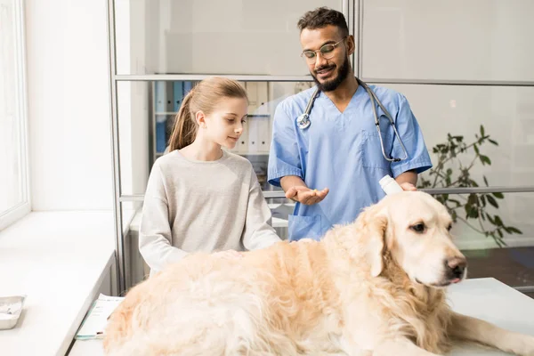 Joven Médico Veterinario Confiado Señalando Perro Labrador Mientras Habla Con — Foto de Stock