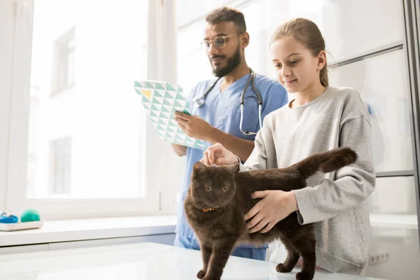 年轻女孩穿着休闲装抱着她的猫在桌子上 而参观专业的兽医诊所 — 图库照片