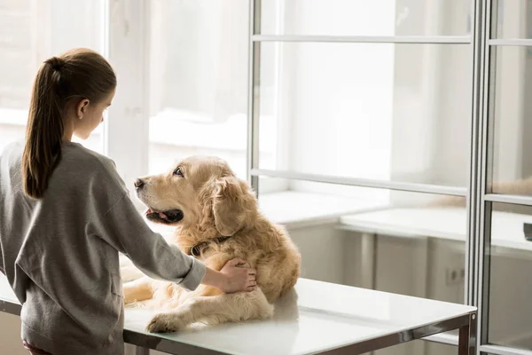 Little Girl Petting Labrador Dog While Standing Medical Table Lies — Stock Photo, Image