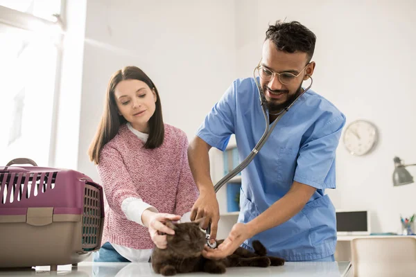 Contemporary Young Veterinary Clinician Stethoscope Examining Cute Pet Its Owner — Stock Photo, Image