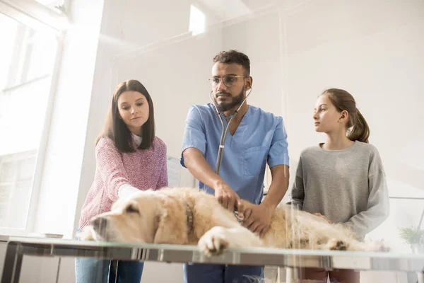 Jovem Veterinário Contemporâneo Uniforme Mulher Morena Sua Filhinha Por Cão — Fotografia de Stock