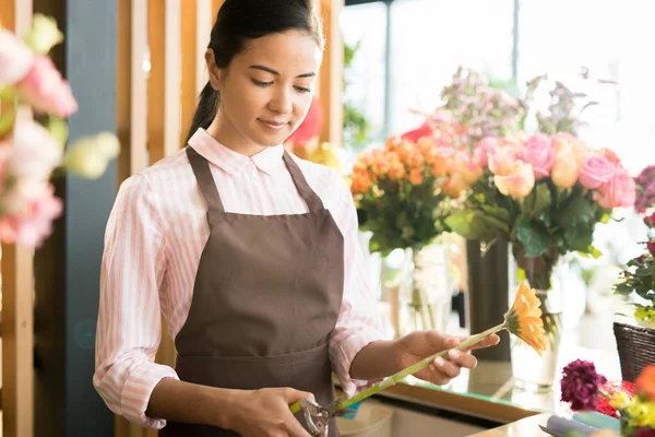 Unga Kvinnliga Florist Arbetskläder Skär Stammen Färskt Herbera Hennes Arbetsplats — Stockfoto