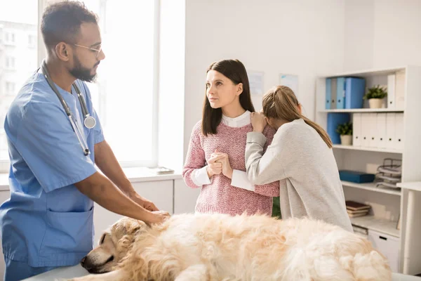 年轻兽医做医疗程序的病犬和咨询担心的妇女和她的女儿在诊所 — 图库照片