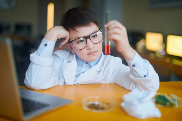 Allvarlig Skolunge Och Glasögon Studerar Egenskaper Hos Flytande Kemiskt Ämne — Stockfoto