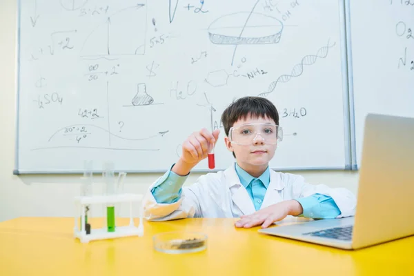 Ijverige School Jongen Met Vloeibare Chemische Substantie Kolf Zittend Voor — Stockfoto