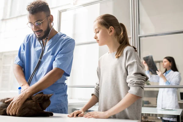 Söt Flicka Tittar Hennes Husdjur Medicinsk Tablwhile Unga Veterinären Undersöker — Stockfoto