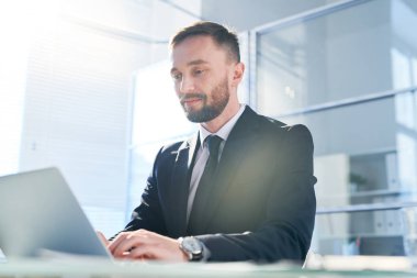 Genç yakışıklı iş adamı, ofiste dizüstü bilgisayarın önünde otururken ağa konsantre oluyor.