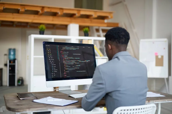 Back View Young Elegant Programmer Looking Coded Data Computer Screen — Stock Photo, Image