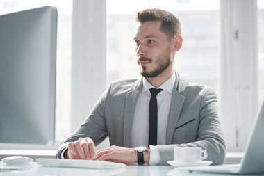 Formalite konusunda genç ciddi analist bilgisayar ekranına bakarken ağa konsantre oluyor