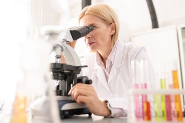 Laboratuvarda bilimsel araştırma yaparken mikroskop ile çalışan beyaz önlüklü ciddi konsantre olgun bayan
