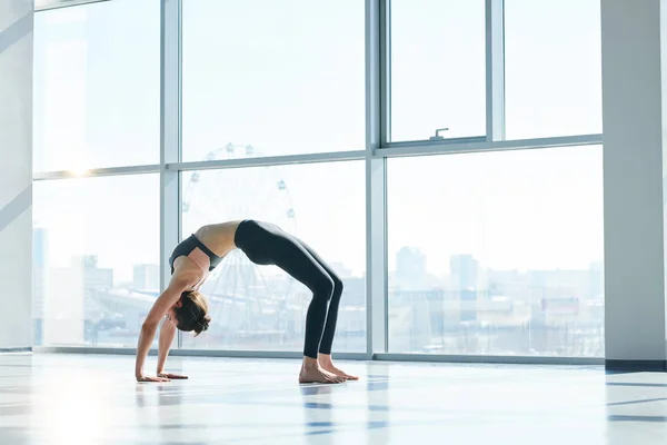 Slim Girl Fritidskläder Öva Backbend Pose Med Händerna Och Fötterna — Stockfoto