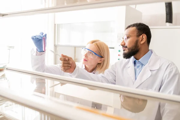 身着白色外套的多民族医学科学家在实验室进行药物治疗时讨论化学液体的颜色 — 图库照片