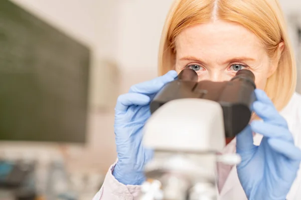 严重忙碌有吸引力的成熟女性临床研究员与金发戴无菌手套使用显微镜法医专业知识 — 图库照片