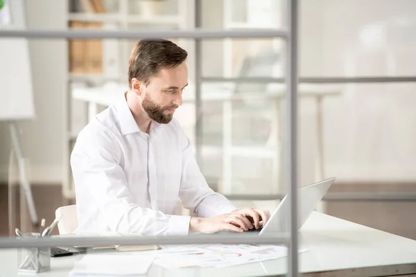 Jeune Employé Occupé Chemise Blanche Tapant Sur Clavier Ordinateur Portable — Photo