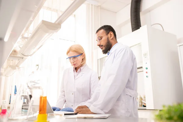 Serious busy laboratory researchers in lab coats standing at desk and viewing information on laptop while holding experiment in laboratory