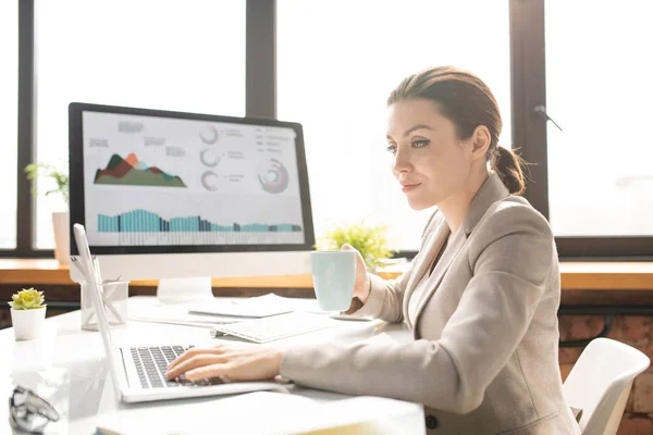 Contemporânea Morena Empresária Sentada Mesa Frente Laptop Tomando Chá Analisando — Fotografia de Stock