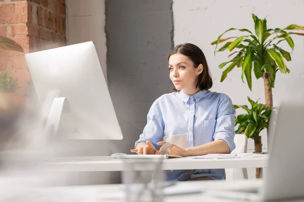 深刻なブルネットの女性は コンピュータの画面の前に机の上に座って プロジェクト上で作業しながら オンラインデータを見て — ストック写真