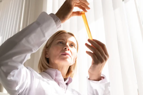 Nachdenklich Konzentrierte Reife Kaukasische Medizinerin Mit Blonden Haaren Die Reagenzglas — Stockfoto