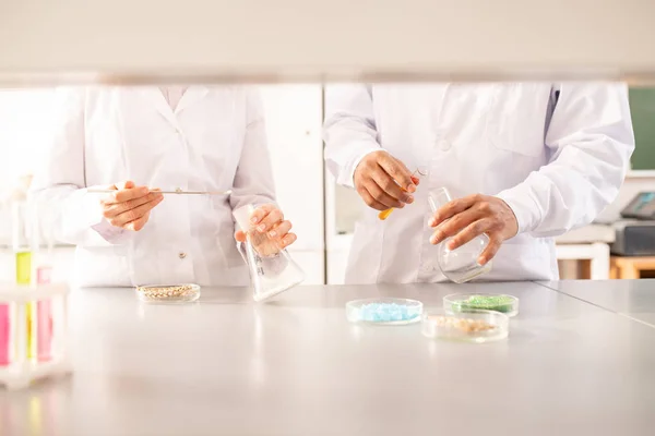 Close-up of unrecognizable agricultural scientists in lab coats standing at lab bench and making experiments with plants