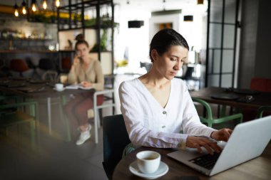 Kafede masa başında otururken ve net sörf yaparken dizüstü önünde yazarak genç zarif kadın