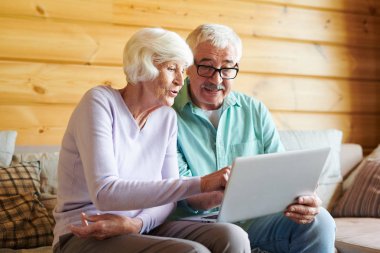 Çağdaş mobil yaşlılar kendi kır evinde kanepede oturan ve dizüstü bilgisayar online haber tartışıyor