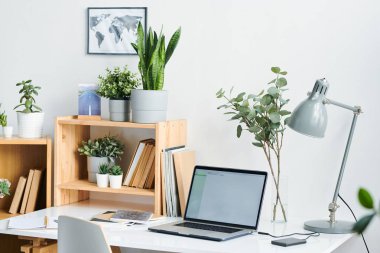 Masa lambası, dizüstü bilgisayar, fotokopi kitapları ve masa ve raflarda ofis içinde saksılarda yeşil yerli bitkiler ile kitaplar