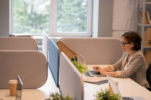 Concentrated smart young female marketer with short hair sitting at desk in open space office and using laptop while working on advertising campaign