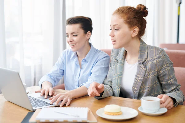 Positivo Curiose Giovani Donne Sedute Tavola Nel Caffè Utilizzando Computer — Foto Stock