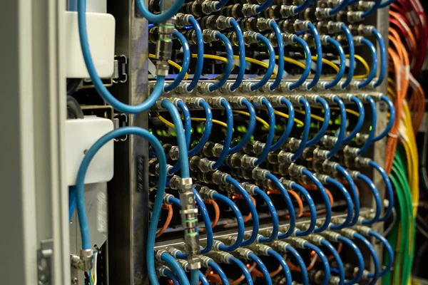 Close Van Het Netwerk Paneel Met Kabels Pluggen Kast Serverruimte — Stockfoto