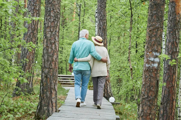 在森林里拥抱着爱慕和深情的老年丈夫和妻子的后视图 — 图库照片