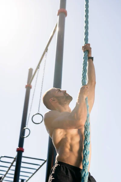 Young Muscular Athlete Looking Upwards While Climbing Thick Rope Hanging — Stock Photo, Image