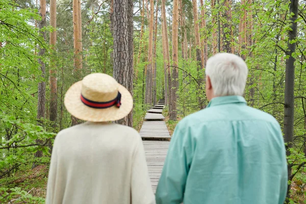 Back view of contemporary senior couple walking down forest path among high pines on summer day