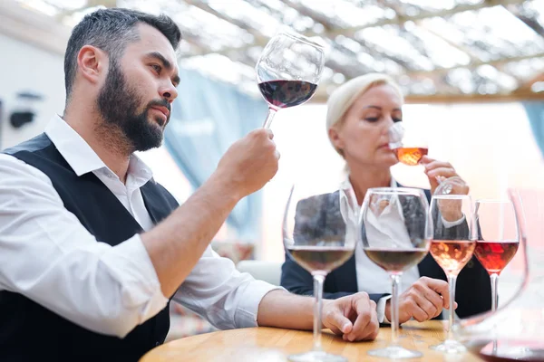 年轻的自信的酒厂专家与一个酒杯品尝新种类的红酒与同事附近 — 图库照片