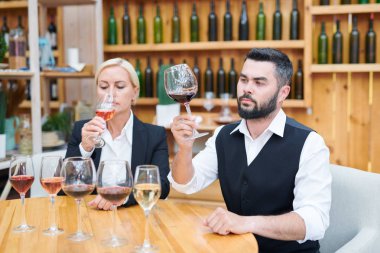 Genç ciddi erkek kavist ve meslektaşı mahzende şarap birkaç yeni tür koku ve lezzet kontrol
