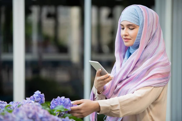 Młoda Arabska Kobieta Hidżab Fotografując Ładne Niebieskie Hortensja Smartfonie Zewnątrz — Zdjęcie stockowe