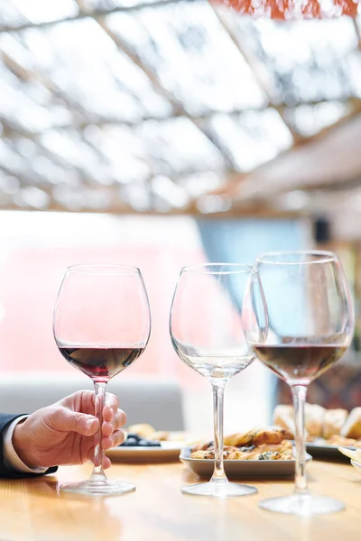 その品質を調べる前にカベルネでワイングラスの1つを取る現代のワイナリーの専門家の手 — ストック写真