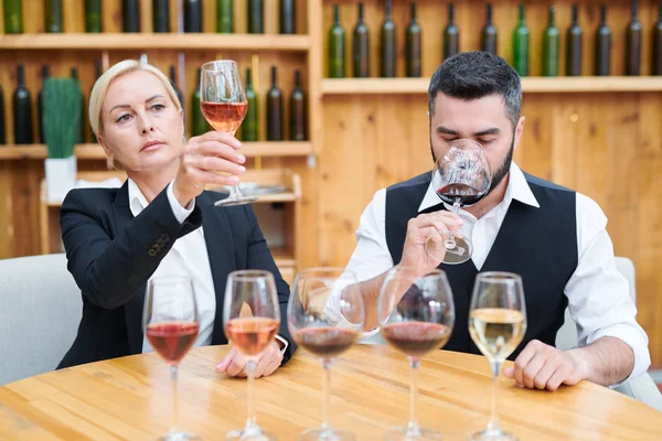와인의 새로운 종류의 냄새를 검사하는 우아한 남자와 여자는 지하실에서 테이블에 — 스톡 사진